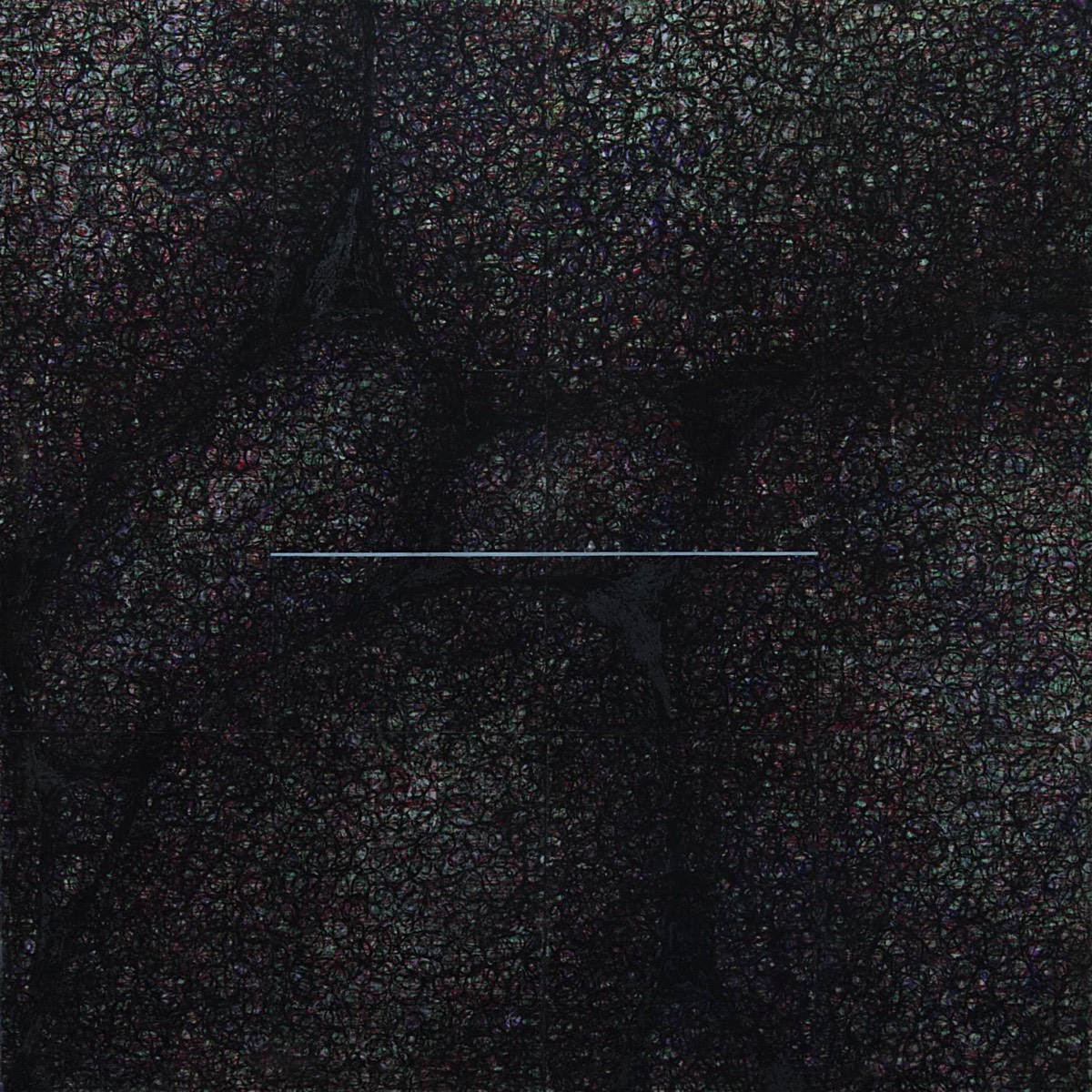 Canson film, oil pastel, paper (collages) on white MDF; 100cmx100cm; 2013