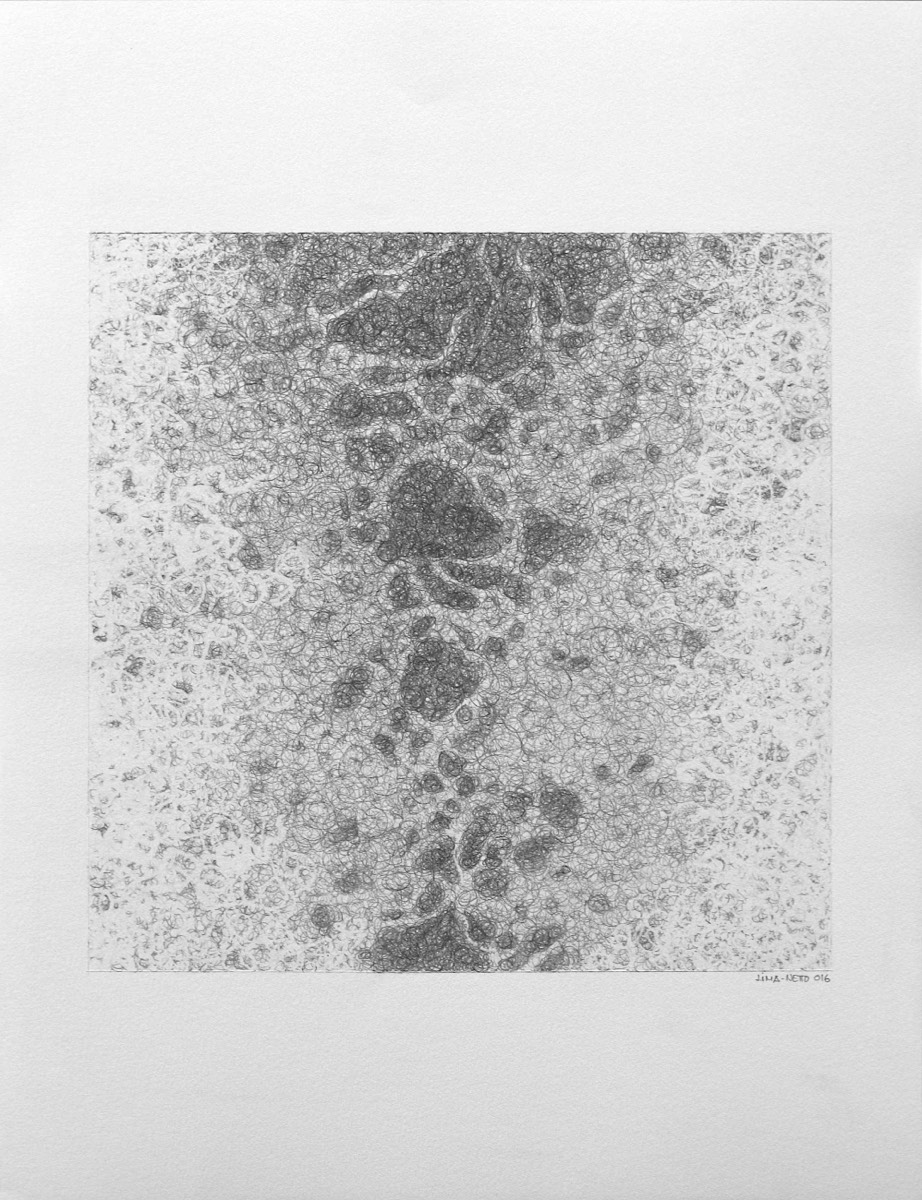 Drawing - graphite on paper