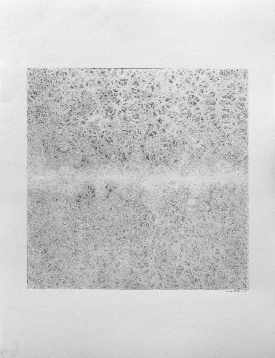 Drawing - graphite on paper