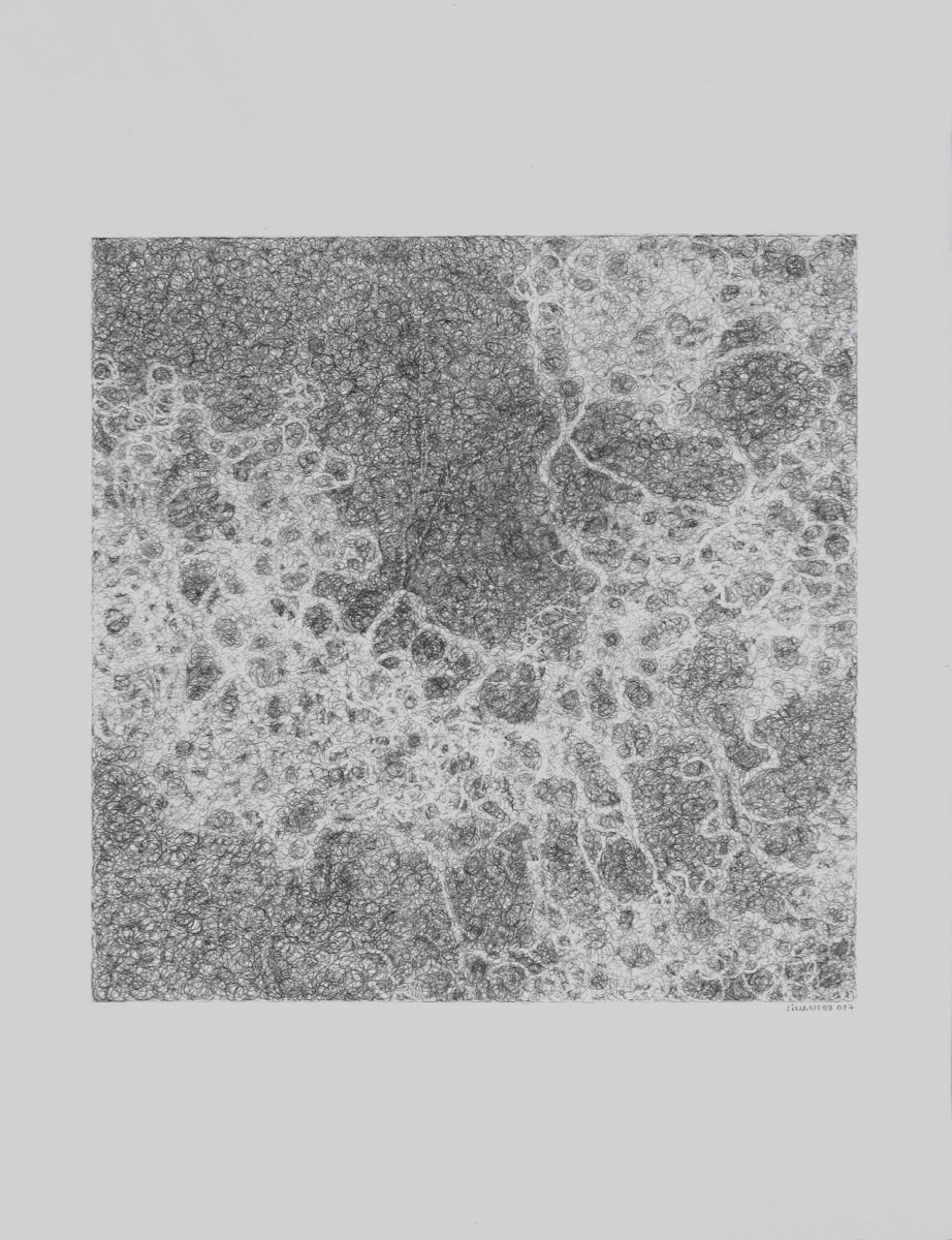 Drawing - graphite on paper