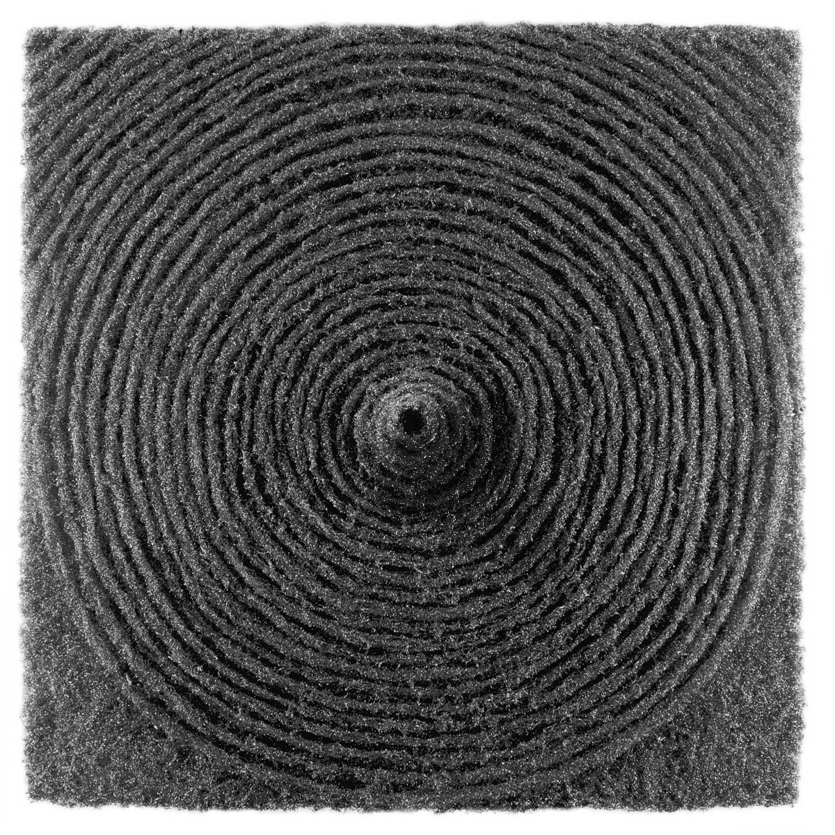 Steel wool; 100 x 100, 2015